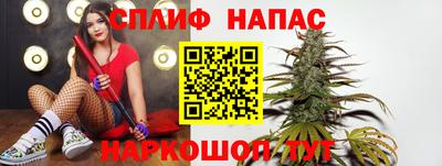 МДПВ Новокубанск